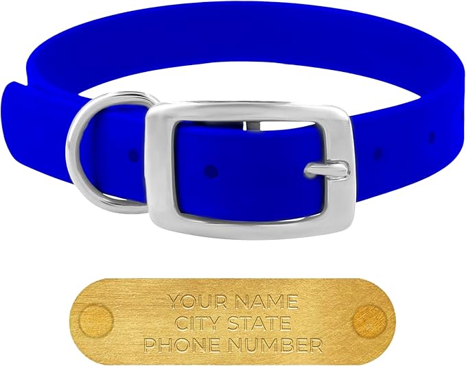 Regal Dog Products Small Blue Waterproof Dog Collars with Custom Engraved Name Plate | Vinyl Coated, Anti, Easy to Clean Personalized Biothane Dog Collar - Other Sizes for Medium & Large Dogs