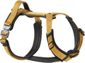 PawsPassion Dog Harness for Medium Dogs, No Pull Dog Harness Easy Walk with Metal Hardware, Ergonomic Y-Shaped Design, Soft Padding, Padded Handle, Durable High-Tensile Nylon (Sunrise, M)
