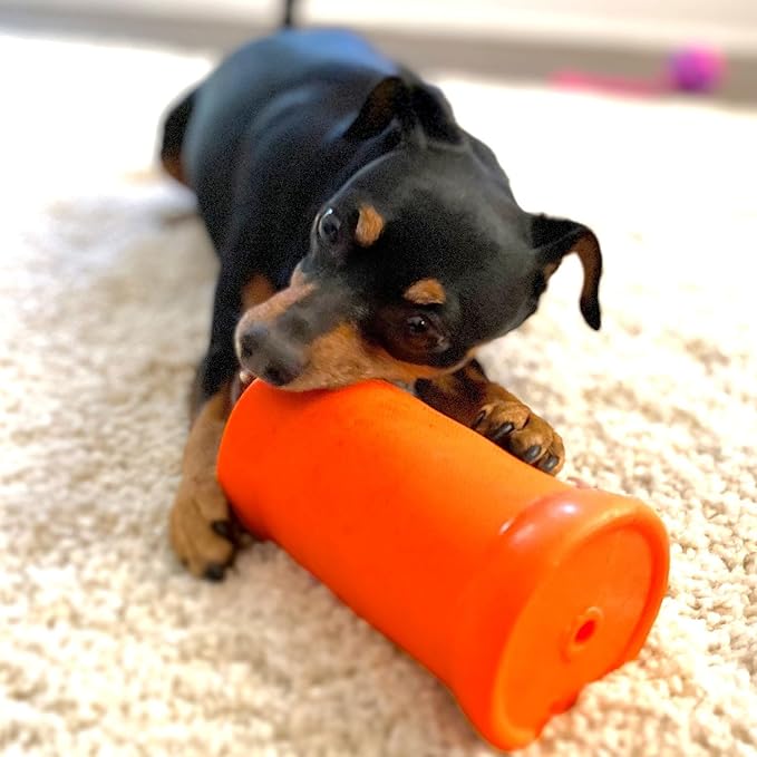 Ruff Dawg Crinkit – Noise-Making Dog Toy – Crinkly, Crunchy Water Bottle Toy for Aggressive Chewers – Fun & Safe Play for Dogs – High-Visibility Neon Colors