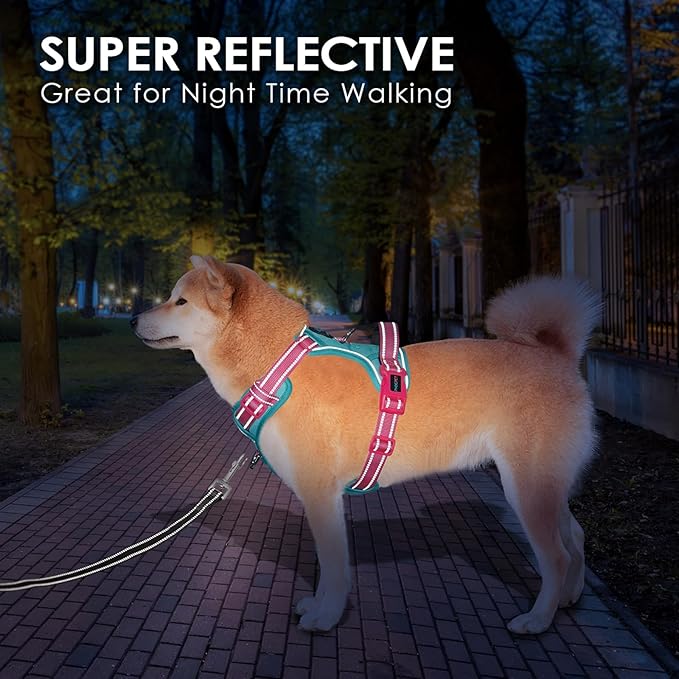 PHOEPET No Pull Dog Harness, Unique Colors Reflective Adjustable Dog Vest, with Soft Training Handle Metal Clips for Small Medium Large Dogs (Mint Green Base & Pink Straps,L)