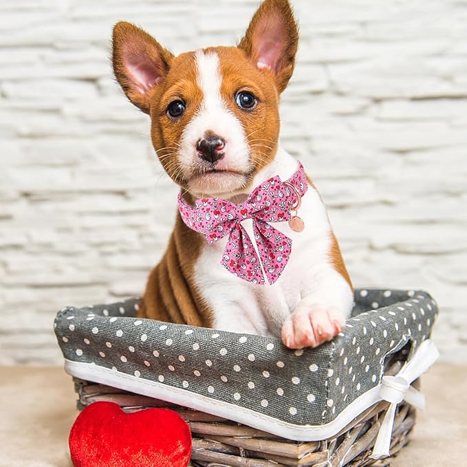 DOGWONG Valentine Dog Collar with Bow, Pink Heart, Medium, Cotton, Durable Soft, Perfect Fit, Stylish Bowtie Design
