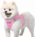 rabbitgoo Small Dog Harness, Step-in Soft Mesh Puppy Vest with Safety Buckle, Breathable Reflective Pet Harness for Small Sized Dogs, Light Pink S