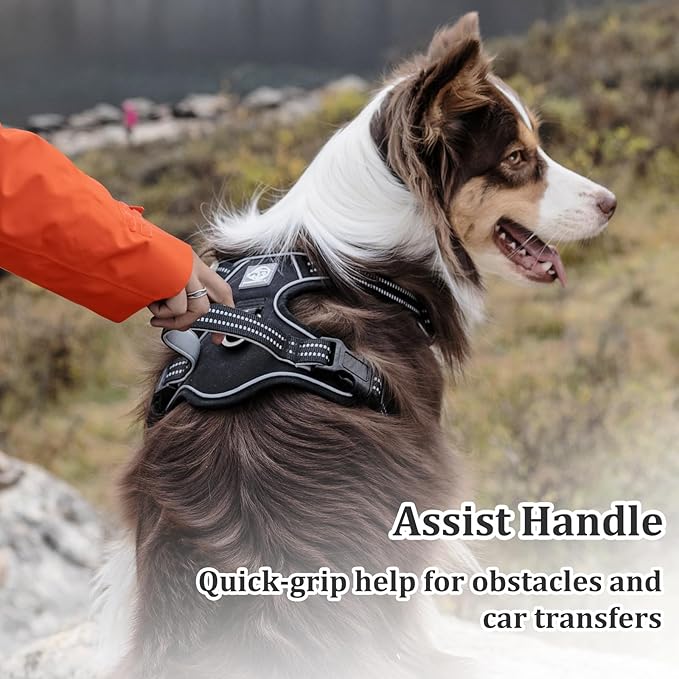 Vest Harness for Dogs - Reflective Adjustable Padding with Easy-On Design & Leash Attachment (M, Black)