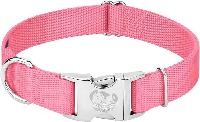 Country Brook Petz - Premium Nylon Dog Collar with Metal Buckle for Small Medium Large Breeds - 10+ Warm Colors (Small, 3/4 Inch, Pink)
