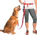 The Buddy System Hands Free Dog Leash, Adjustable Leash for Running, Jogging, Training and Service Dogs, Great for Small, Medium and Large Dogs, Made in USA (Red, Large Belt (27"- 50" Waist))