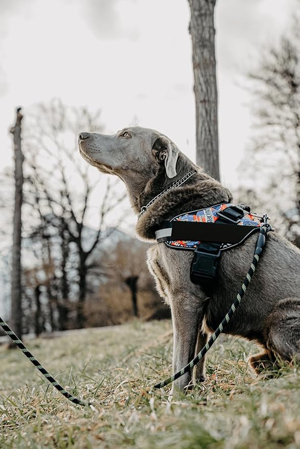 Non Pull Dog Harness with Patch Panels and Handle, Adjustable, Reflective, No Choke, Heavy Duty Easy On Service Dog Vest Harnesses for Medium Large Small Sized Dogs - Purple, 2XL