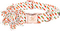 Elegant little tail Easter Dog Collar,Carrot Dog Collars Holiday Pet Collar with Flower Pet Gift Adjustable Puppy Collars for Large Dogs