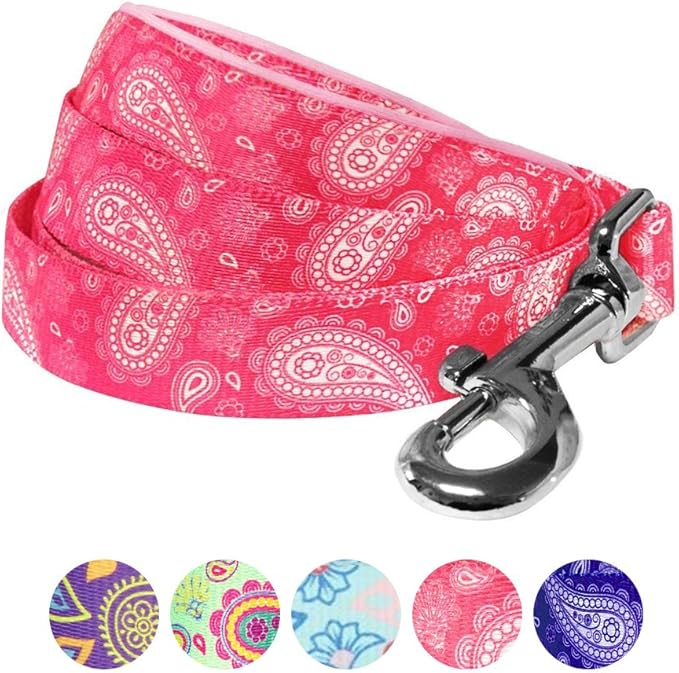 Blueberry Pet 5 Colors Paisley Flower Print Dog Leash with Soft & Comfortable Handle, 5 ft x 5/8", Pink, Small, Leashes for Dogs