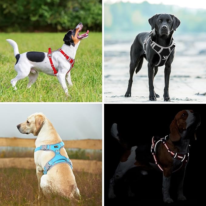 Plutus Pet No Pull Dog Harness, Release at Neck, Reflective Adjustable Dog Vest Harness, Easy Control Handle for Walking, for Small Medium Large Dogs, Cyan, XL
