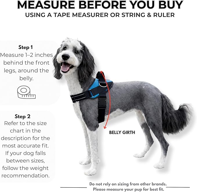 ShawnCo Essential Dog Harness, No-Pull Pet Vest with 3 Leash Clips, No Choke, Reflective, Adjustable and Padded, for Easy Walking and Training for Small, Medium and Large Dogs (Freckle's Garden, XS)