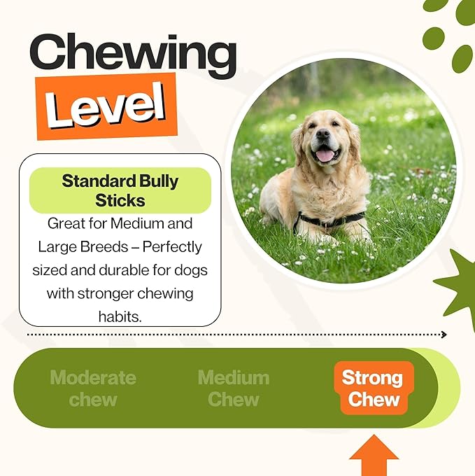 Bully Sticks for Dogs, (6 Inch, 10 Count), Dog Chew Toy for Aggresive Chewer, Long-Lasting, 100% Grass-Fed Beef Pizzle - Ideal for Medium and Large Dogs - Rawhide-Free