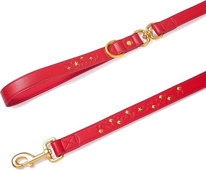 Blueberry Pet Premium Embossed Red Glam Microfiber Leather Dog Leash with Gold Studs