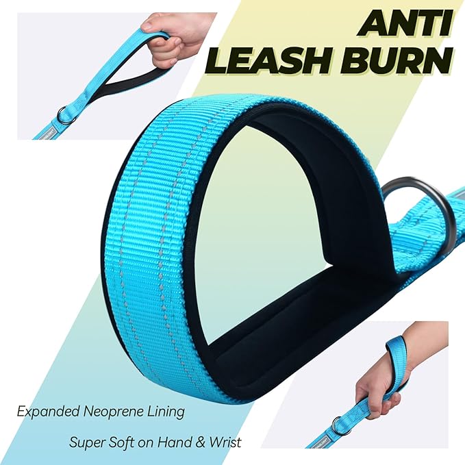 VIVAGLORY Twingrip Dog Leash, Double Handle Dog Leash for Training & Walking with Traffic Handle & 2 Loop, Traffic Control Reflective Heavy Duty for Puppy Pet, 5ft x 1in, Lake Blue