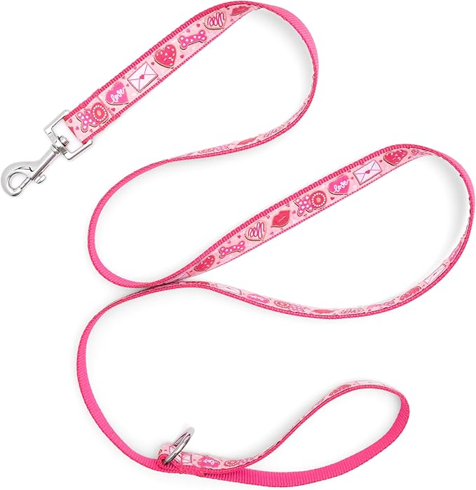 THE WORTHY DOG Stylish Love & Kisses Patterned Leash for Dogs, Solid Nickel Plated - Pink, Large