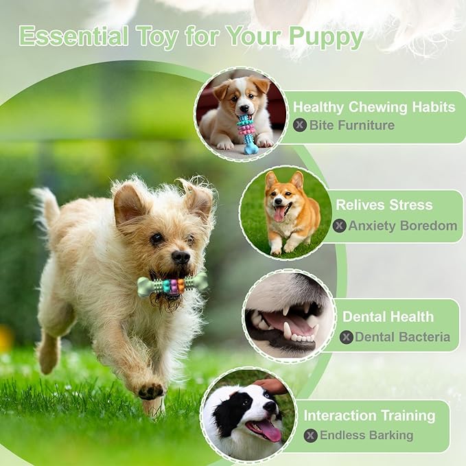 Puppy Chew Toys, Indestructible Dog Toys for Aggressive Chewers - Small & Medium Breed, Durable Rubber Chew Bone Toy for Small Dogs, Puppy Toys for Teething, Anxiety & to Keep Busy