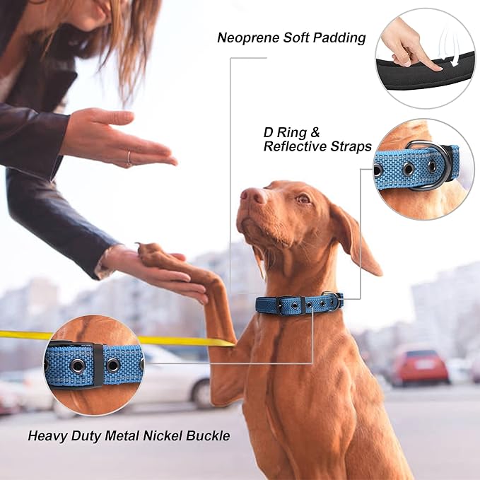 PetiFine Dog Collars for Medium Dogs, Neoprene Padded and Adjustable, Reflective Wide Heavy Duty Pet Collars with Durable Metal Belt Buckle for Walking, Blue, M