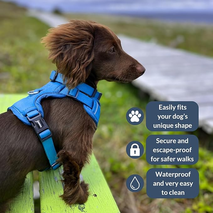 DJANGO Tahoe No Pull Dog Harness – Escape-Proof Dog Harness for Small Dogs with Front & Back Clips for Everyday Use – Adjustable, Padded, Reflective, Secure Fit, Easy On/Off – Alpine Blue, Small