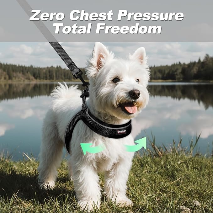 Dog Harness and Leash Set,Step in Small Sized Dog Harness,Soft Mesh,No-Chock,Reflective Adjustable,Secure with Hook & Loop Fastener,Puppy Vest for Small,Medium Dogs(Black,XXXS)