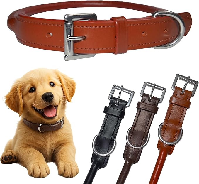 SIE Rolled Leather Dog Collars (12'', Chestnut)