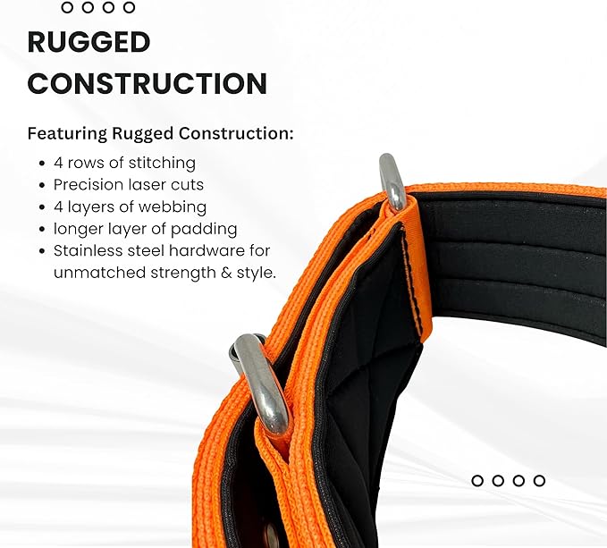 SparkDog Collars Working Dog Collar - 2" 4ply Padded Dog Collar Heavy Duty Stainless Steel Tactical Seatbelt Wide Buckle Collar (Orange 2.0, 16-21" Large)