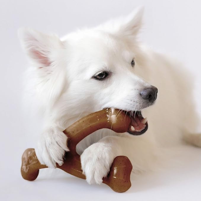Outward Hound Hide A Squirrel Plush Dog Toy Puzzle (Large) and Benebone Wishbone Durable Dog Chew Toy (Medium)