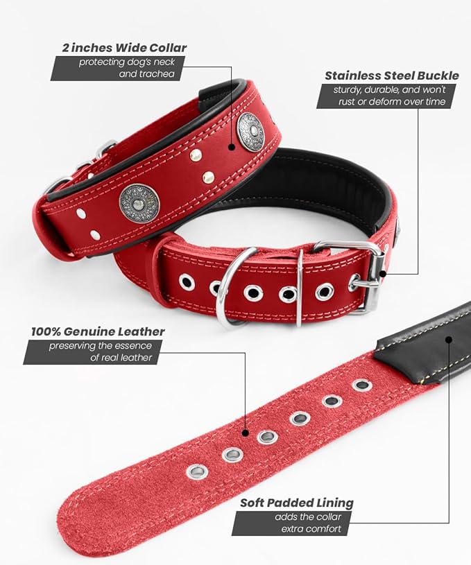 Leather Dog Collar, 2 inches Wide Heavy Duty Genuine Leather Collars, Handmade, Soft, and Luxury, Eye-catching Best Choice for Large and Medium Breed Dogs, Red 18.5-22.5 in