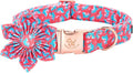 Elegant little tail Valentine's Dog Collar, Heart Dog Collar with Flower Cute Girl or Boy Pet Collars with Flower Puppy Gift Adjustable Pet Collars for X-Small Dogs