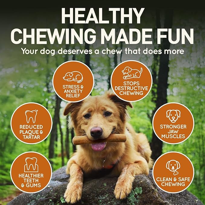 Wildfang® Coffee Wood Dog Chew, XXS – Tough Chew Toys for Aggressive Chewers, Dog Teething Toys for Puppies, Training for Chewing Muscles, Coffee Tree Sticks for XX-Small Dogs (Under 11 lbs) Pack of 3