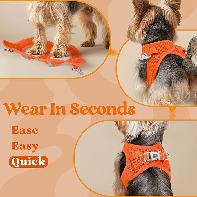 rabbitgoo Small Dog Harness, Step-in Soft Mesh Puppy Vest with Safety Buckle, Breathable Reflective Pet Harness for Small Sized Dogs, Orange S
