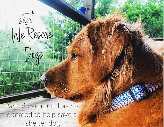 Lucky Love Dog, Bold Matching Dog Collar and Leash Set, Soft & Adjustable, Geometric Pattern Collar and Leash for Male Female Dogs - (Medium, Murphy Combo)