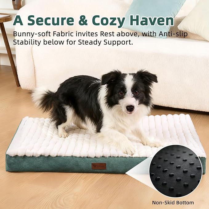 Orthopedic Dog Bed with Firm High-Density Egg Crate Foam Mattress,Machine Washable Cover & Non-Slip Bottom for Small Breeds & Toy Dogs (Green, 23" L x 17" W x 3" H)