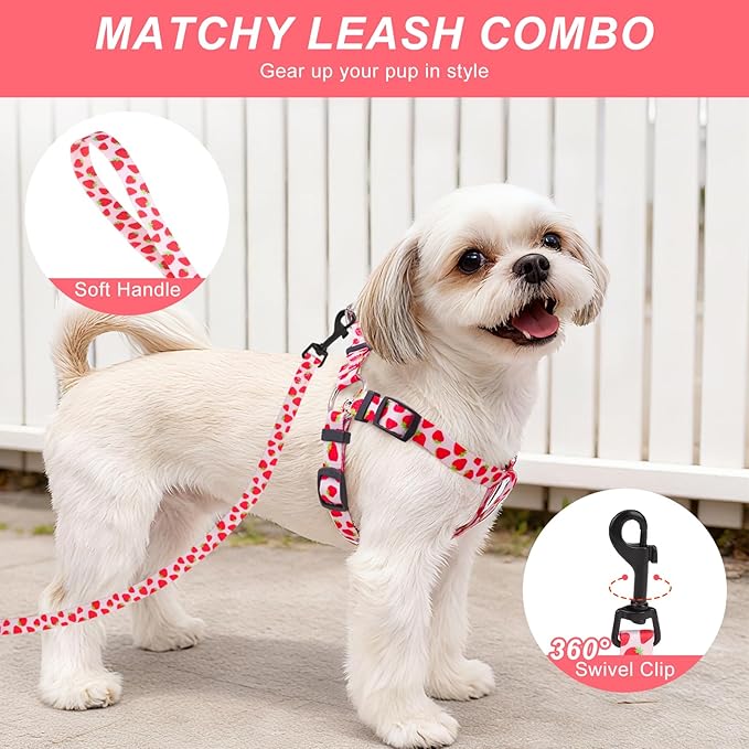 BEAUTYZOO Dog Harness Small Sized Dog Girl, No Pull Dog Harness and Leash Set,Step in Soft Light Puppy Vest, No Choke Heavy Duty Dog Halter with Bell,Breathable Adjustable Nylon Pet Harnesses, Pink M