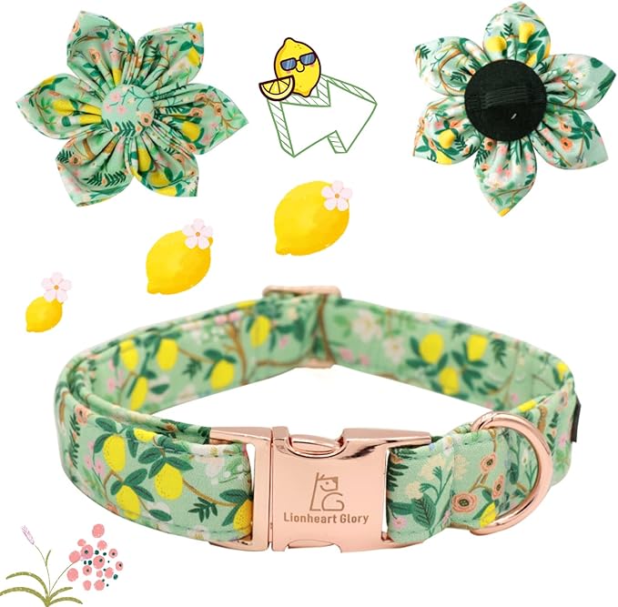Lionheart Glory Cute Lemon Floral Pattern Adjustable Dog Collar for Small Dogs