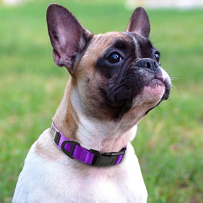 Joytale Personalized Dog Collars with Engraved Name Plate, Silent No Jingle Custom Nylon Collar with Fixed ID Tag, Reflective Soft Neoprene Padded Breathable for Puppy and XSmall Dogs, Purple
