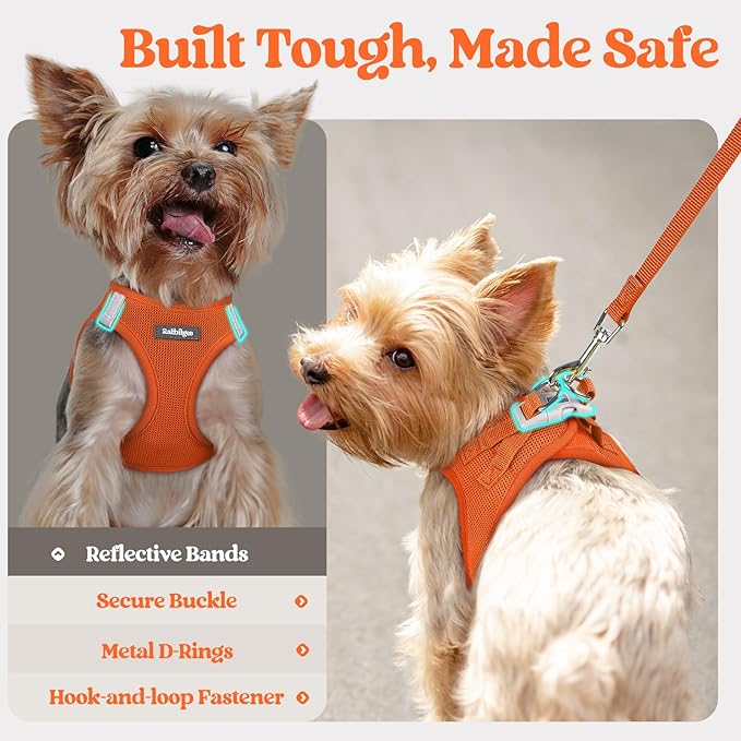 rabbitgoo Dog Harness Small Medium Sized and Leash Set, Step in Soft Light Puppy Vest, Breathable Mesh Pet Harness, Reflective for Safe Easy Walking, Orange L