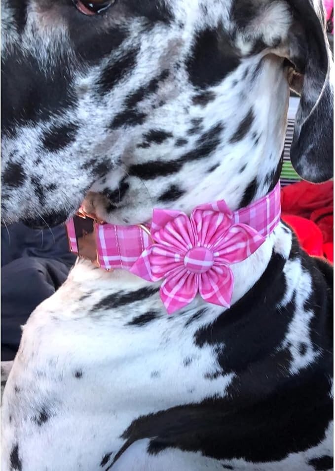 Lionheart Glory Dog Collar, Pink Dog Collar with Flower, Cute Floral Pattern Pet Collar Adjustable Pet Collar for Small Dogs