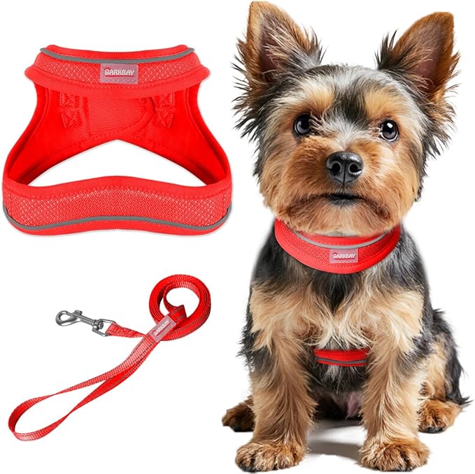 Dog Harness and Leash Set,Step in Small Sized Dog Harness,Soft Mesh,No-Chock,Reflective Adjustable,Secure with Hook & Loop Fastener,Puppy Vest for Small,Medium Dogs(Red,L)