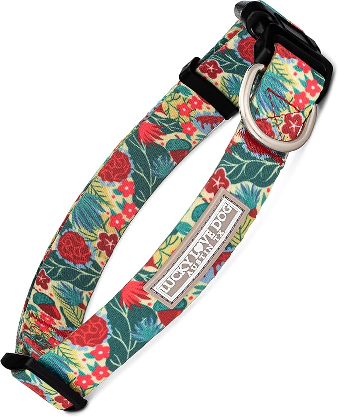 Lucky Love Dog - Adjustable Dog Collar with Easy Click Buckle for Large Ones, Durable, & Comfortable for Male & Female Dogs, Pet Collar for Puppies & Adult Dogs - Ginny, Large