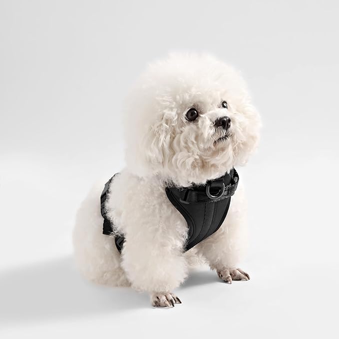HNS1001I Arlo Small Adjustable Soft Padded No Pull Pet Harness with 3 Buckles and 3 Leash Clips, Bitters