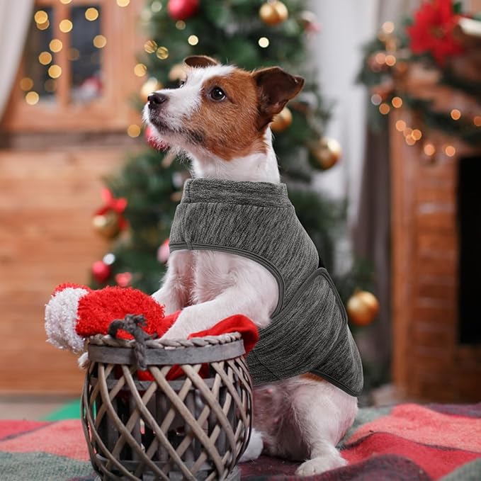Queenmore XXS Dog Sweaters, Soft Fleece Vest Pullover Dog Jacket with Leash Hole, Warm Winter Dogs Clothes Cold Weather Doggy Dachshund Sweater for Small Dogs Cats Boy or Girl (Cationic Gray, XXS)