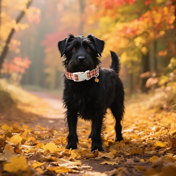 Unique style paws Dog Collar Plastic Buckle with Pendant Colorful Orange Grid Party Puppy Collars for Small Medium Large Boys Girls Dogs
