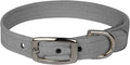 Susan Lanci Designs Ultrasuede Premium Dog Collar, Platinum, X-Small