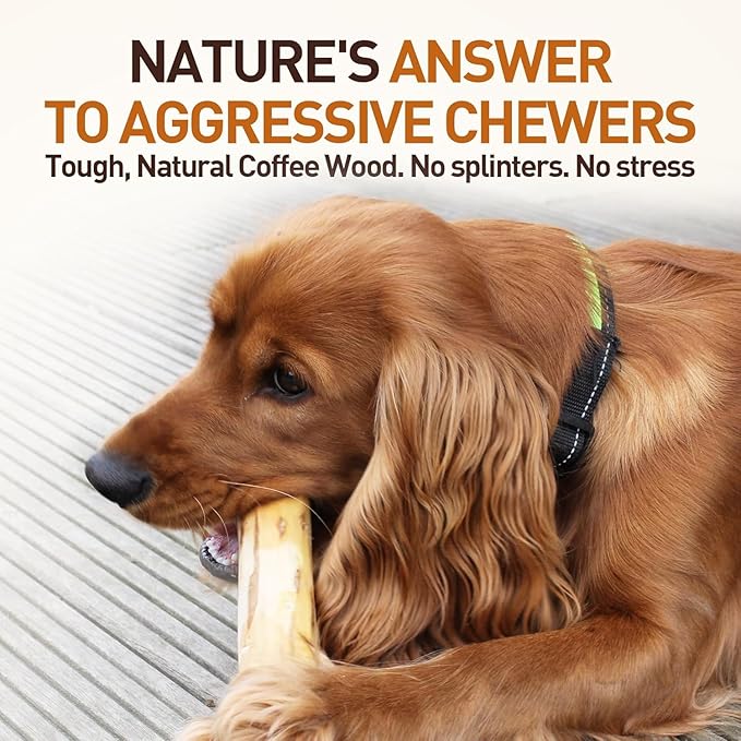 Wildfang® Coffee Wood Dog Chew, XXS – Tough Chew Toys for Aggressive Chewers, Dog Teething Toys for Puppies, Training for Chewing Muscles, Coffee Tree Sticks for XX-Small Dogs (Under 11 lbs) Pack of 3