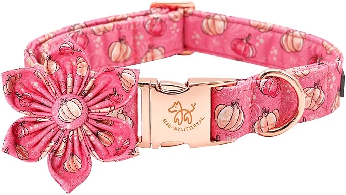 Elegant little tail Dog Collar with Flower, Halloween Pumpkin Girl Dog Flower, Adjustable Dog Collar Flowers Pet Gift Collars for Small Medium Large Dogs