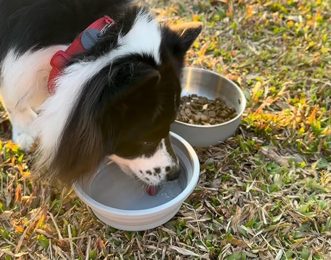 40 Oz Travel Dog Bowls with Lid 2in1 BPA-Free Collapsible Dog Water Bowl, Stainless Steel Dog Food Bowl, Portable Dog Bowls Leakproof - Dog Trip Camping Travel Essentials