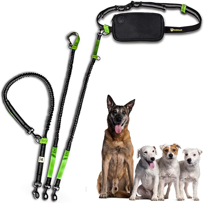 Hundefreund Hands-Free Leash for Small Dogs Under 30 lbs – Lightweight Waist Leash with Reflective Bungee, Pouch & Dual Handles – Ideal for Running, Walking & Hiking