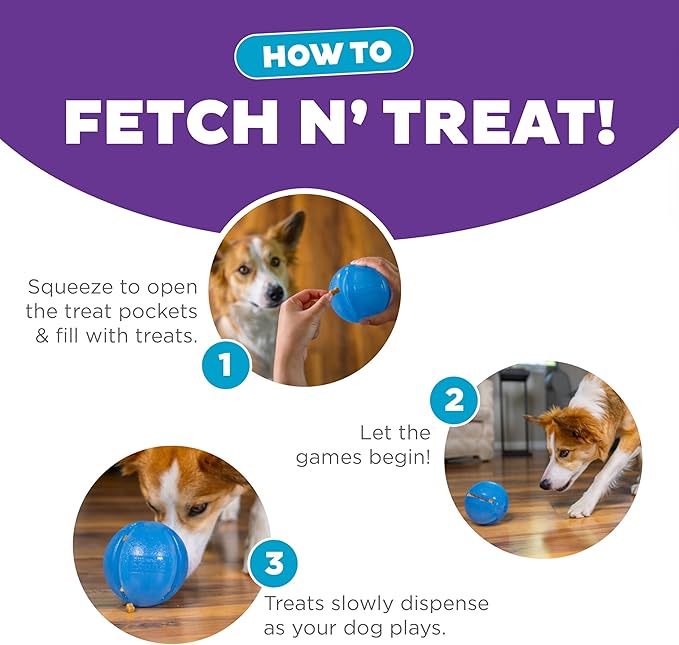 Outward Hound Guru Treat-Dispensing Puzzle Ball Dog Toy, Blue