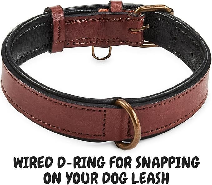 Real Leather Dog Collar Padded Soft Interiors with Premium Vintage Look Handcrafted Heavy Duty with Tag Ring for Small Medium and Large Pets (Medium (1.25" Wide for 13.5" - 17.5" Neck), Oxblood)