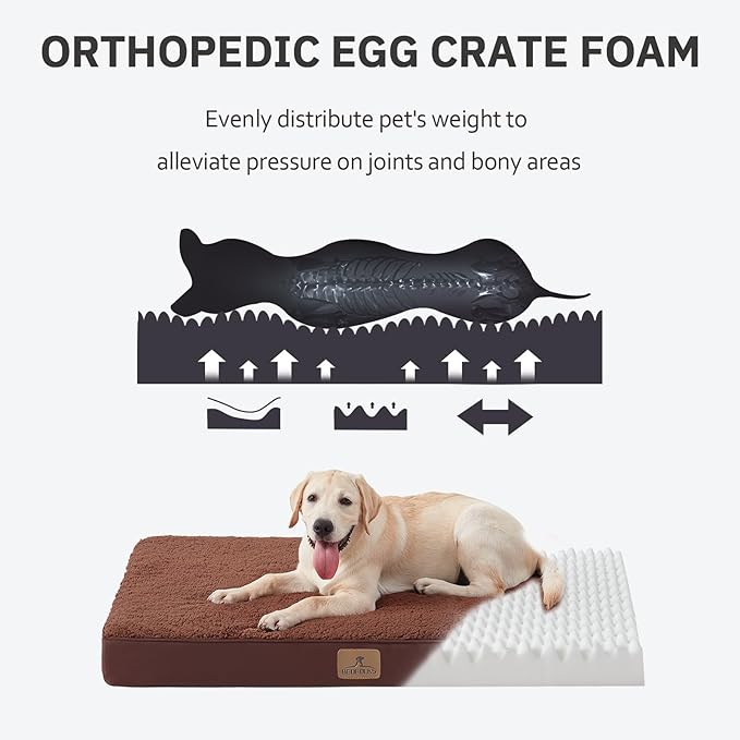 Bedfolks Orthopedic Dog Bed for Extra Large Dogs - Egg Foam Dog Crate Bed with Removable Waterproof Cover, Pet Bed Mat Suitable for Dogs and Pets Up to 100 lbs (44 x 32 x 3.5 inches, Brown)