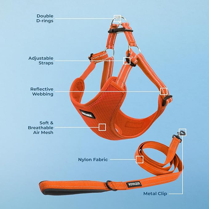 Best Pet Supplies Voyager Adjustable Step-in Flex Breathable Mesh Dog Harness for Small Medium Large Dogs Leash Set (Orange), L